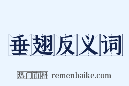 垂翅反义词是什么意思的图片
